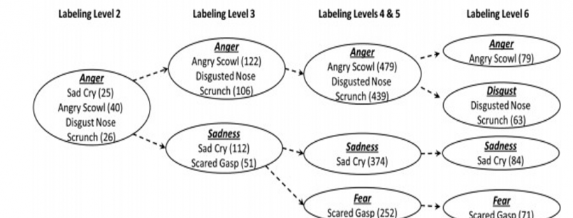 At 42 months, 25 children confused "anger" with a "sad cry" etc. (Widen, 2013).
